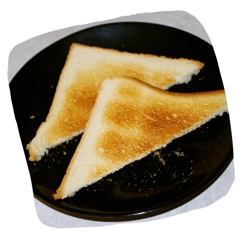 Toasts grillés